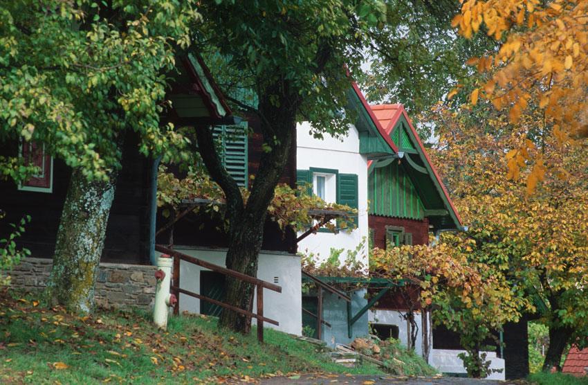 Gasthof Hotel Zum Weinberg Kohfidisch Exterior photo